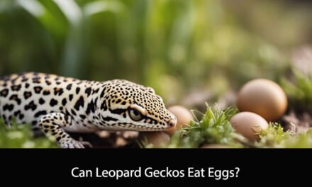 Can Leopard Geckos Eat Eggs?
