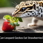 Can Leopard Geckos Eat Strawberries