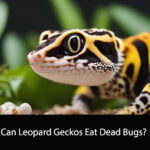 Can Leopard Geckos Eat Dead Bugs