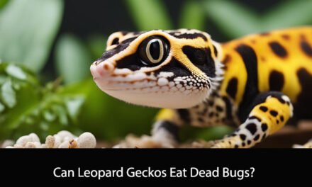 Can Leopard Geckos Eat Dead Bugs?