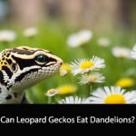 Can Leopard Geckos Eat Dandelions