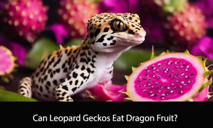 Can Leopard Geckos Eat Dragon Fruit?