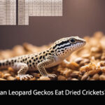 Can Leopard Geckos Eat Dried Crickets