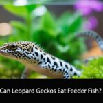 Can Leopard Geckos Eat Feeder Fish?