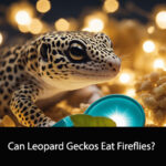 Can Leopard Geckos Eat Fireflies