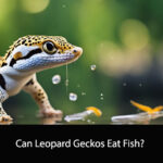 Can Leopard Geckos Eat Fish