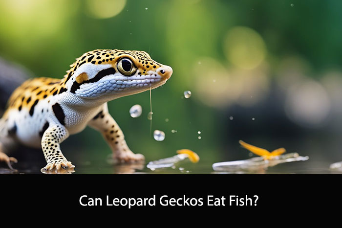 Can Leopard Geckos Eat Fish