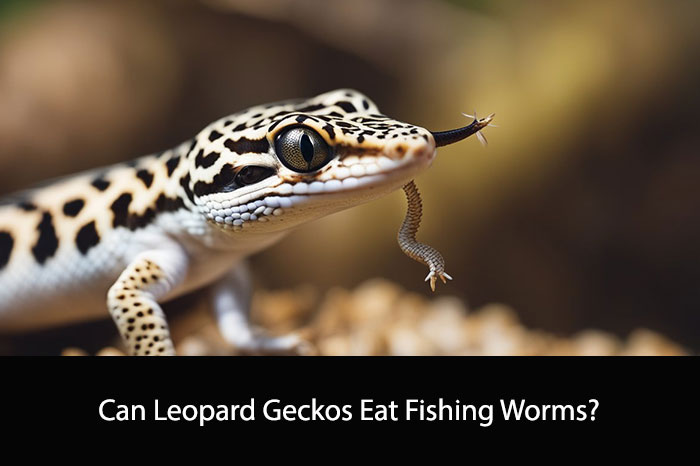 Can Leopard Geckos Eat Fishing Worms?