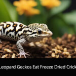 Can Leopard Geckos Eat Freeze Dried Crickets?
