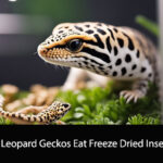 Can Leopard Geckos Eat Freeze Dried Insects