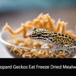 Can Leopard Geckos Eat Freeze Dried Mealworms?