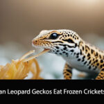 Can Leopard Geckos Eat Frozen Crickets?