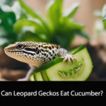 Can Leopard Geckos Eat Cucumber