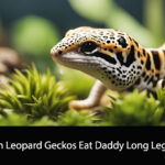 Can Leopard Geckos Eat Daddy Long Legs