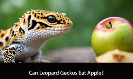 Can Leopard Geckos Eat Apple?