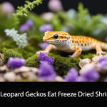 Can Leopard Geckos Eat Freeze Dried Shrimp