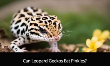 Can Leopard Geckos Eat Pinkies?