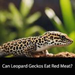 Can Leopard Geckos Eat Red Meat