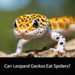 Can Leopard Geckos Eat Spiders