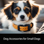 Dog Accessories for Small Dogs