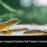 Can Leopard Geckos Eat Frozen Insects?