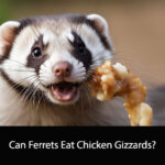 Can Ferrets Eat Chicken Gizzards
