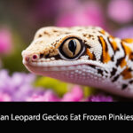 Can Leopard Geckos Eat Frozen Pinkies