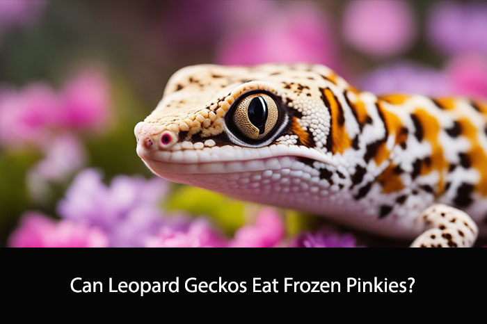 Can Leopard Geckos Eat Frozen Pinkies