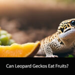 Can Leopard Geckos Eat Fruits
