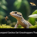 Can Leopard Geckos Eat Grasshoppers That Fly