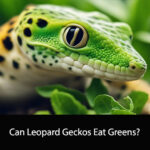 Can Leopard Geckos Eat Greens