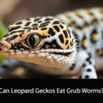 Can Leopard Geckos Eat Grub Worms