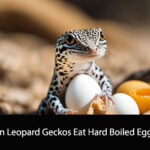 Can Leopard Geckos Eat Hard Boiled Eggs