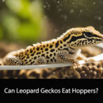 Can Leopard Geckos Eat Hoppers