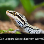 Can Leopard Geckos Eat Horn Worms