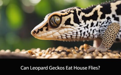 Can Leopard Geckos Eat House Flies?