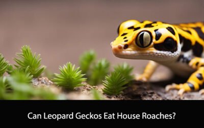 Can Leopard Geckos Eat House Roaches?