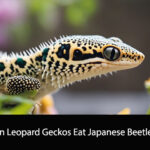 Can Leopard Geckos Eat Japanese Beetles