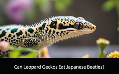 Can Leopard Geckos Eat Japanese Beetles?