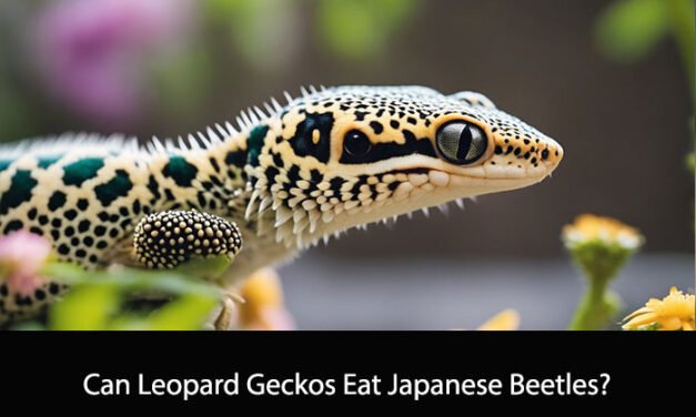 Can Leopard Geckos Eat Japanese Beetles?
