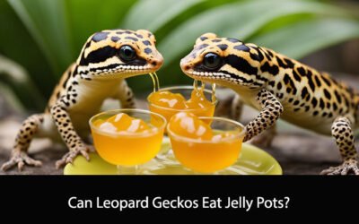Can Leopard Geckos Eat Jelly Pots?