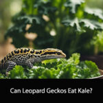 Can Leopard Geckos Eat Kale