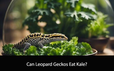 Can Leopard Geckos Eat Kale?