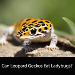 Can Leopard Geckos Eat Ladybugs