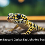 Can Leopard Geckos Eat Lightning Bugs