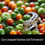 Can Leopard Geckos Eat Tomatoes