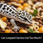 Can Leopard Geckos Eat Too Much