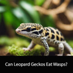 Can Leopard Geckos Eat Wasps