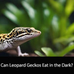 Can Leopard Geckos Eat in the Dark