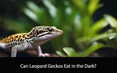 Can Leopard Geckos Eat in the Dark?
